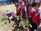 植樹節19