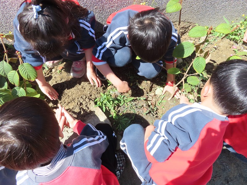 植樹節29