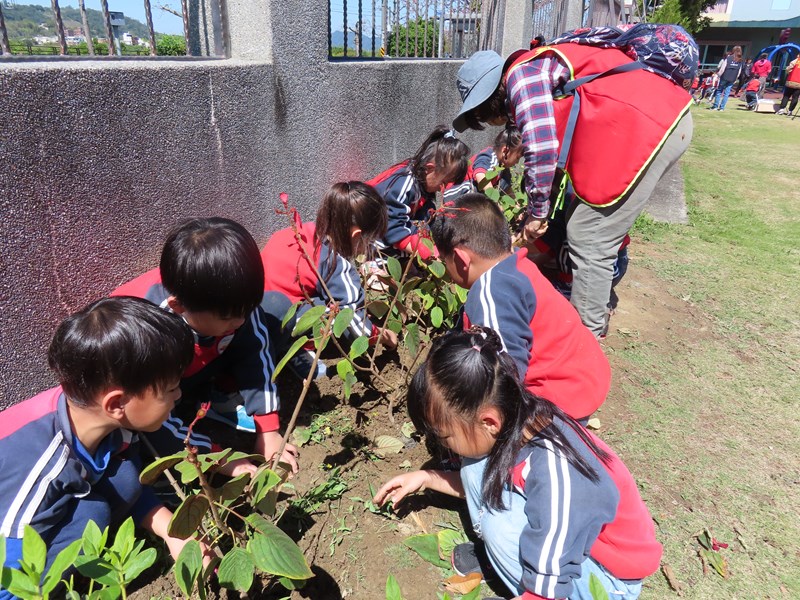 植樹節37