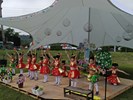 表演7