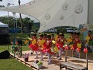 表演11