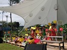 表演15