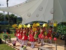 表演16