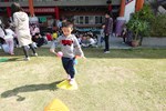 小心走來搶救五色石