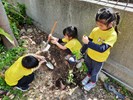 分工合作完成任務