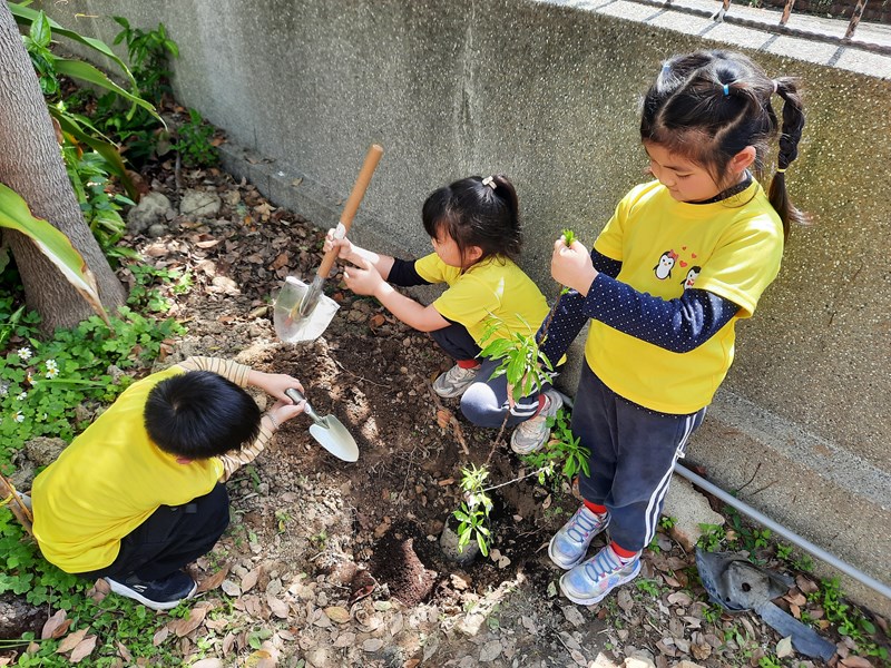 分工合作完成任務
