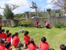 植樹節活動26