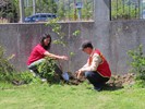 植樹節活動32