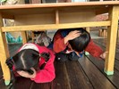 一手抓桌腳一手護頭