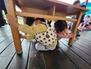 地震時怎麼辦