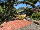 企鵝班蜻蜓谷半日遊