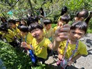 這片葉子味道不一樣-百香果