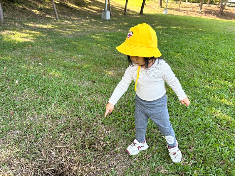 老師公園有一個大洞