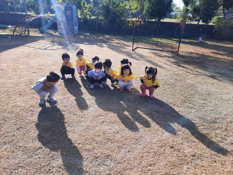 我和我的影子朋友