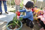 讓幼兒動手進行水土保持實驗