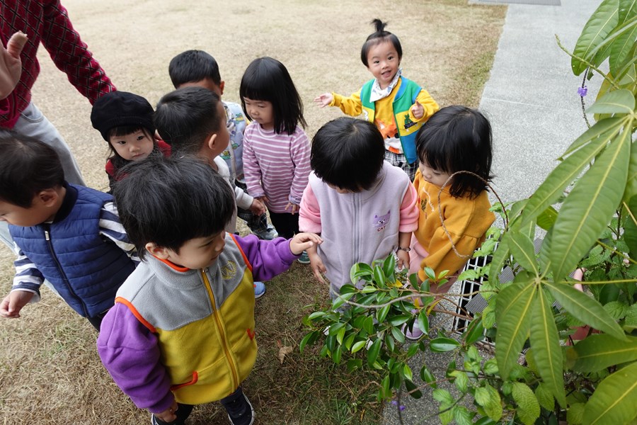 小雨滴躲在草堆裡嗎