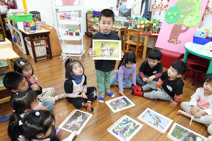 住在樹上的松鼠