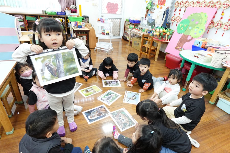 住在樹上的啄木鳥