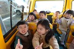 坐娃娃車體驗