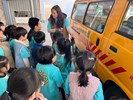 認識娃娃車外觀特色