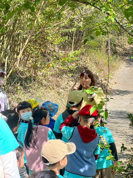 介紹桃子園