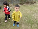 我找到了樹枝