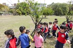鯉魚伯公公園找植物