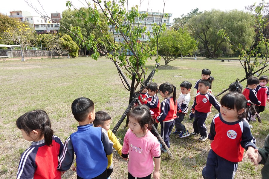 鯉魚伯公公園找植物