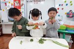觀察葉子的異同