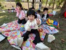 河濱公園野餐趣