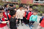 這是什麼葉子