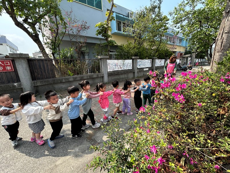 學校門口有五顏六色~杜鵑花