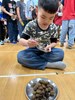 吃脆梅