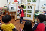 這是菊花