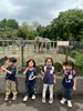 一起看大象