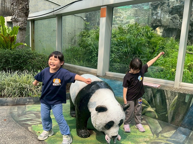 看見大熊貓