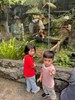 猜猜我們在看什麼動物
