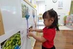 我來找水果