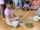 品嘗脆梅