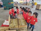 這是高麗菜乾