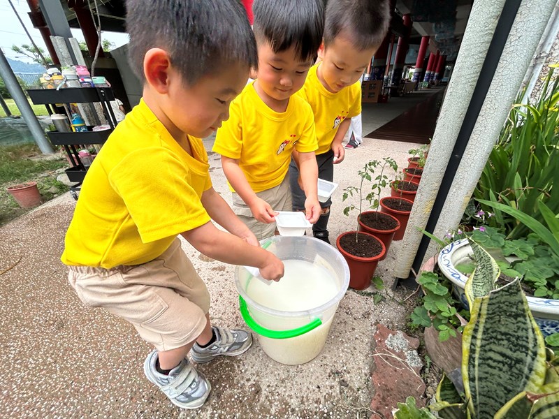 裝水幫番茄澆水