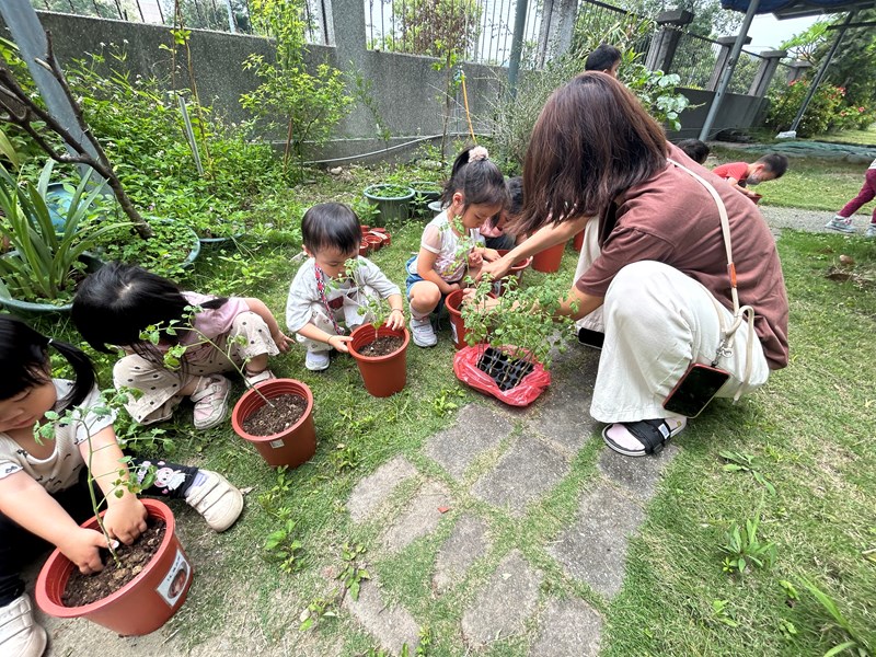 體驗小農夫種植番茄