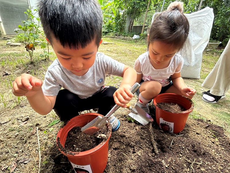 體驗挖泥土