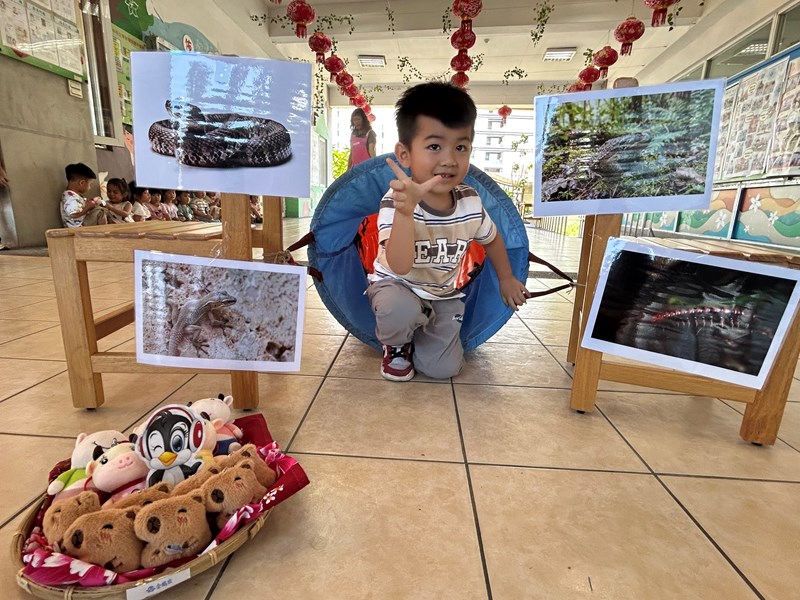 小企鵝勇闖五毒森林1JPG