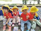 野餐時間
