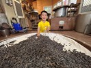 開心體驗DIY豆豉