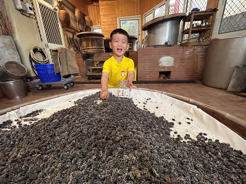開心體驗DIY豆豉