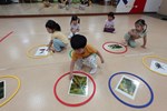 我是揚尾