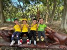 小企鵝~欣賞木雕之青蛙