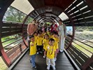 小企鵝~穿梭隧道笑聲滿滿